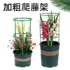 Suporte de suporte para vaso de flores pode ser emendado suporte de vaso de flores anel de suporte haste de suporte suporte para vaso de flores de planta interna suporte de galho de varanda suporte para trepadeira vaso