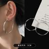 Pendientes de metal con diseño de aguja plateada, estilo otoño-invierno, con diseño de nicho, estilo viento frío, ligeros y combinables, de lujo y alta gama.
