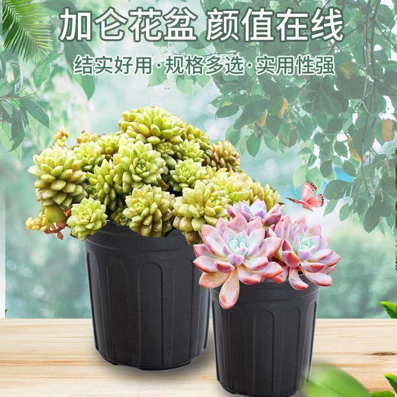 加8