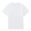 Fábrica de Origen 170g Algodón Puro Liso Color Sólido No Transparente Camiseta Básica Verano Casual Manga Corta Exportación Talla Grande