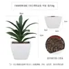 Más de 100 Tipos de Combinaciones de Plantas Suculentas Artificiales en Maceta Mini, Ventas Transfronterizas Populares, Estilo Sencillo Decoración del Hogar Flores Artificiales y Plantas Verdes, Directo de la Fábrica Fuente