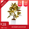 Plantas Verdes com Folhas que Mudam de Cor, Folhas de Figueira Douradas, Folhas de Árvore Cinzentas, Enfeites Decorativos de Folhas para Engenharia de Jardins Residenciais, Plantas Verdes Artificiais para Vasos