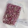 Diamante de Cristal con Forma Especial Plana Rosa Cerezo Paquete de 1440 Mini Tamaño Grande Pequeño Ojo de Caballo Amor Joyería Diamante para Uñas
