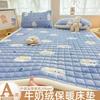 Colchão Acolchoado Espesso de Veludo de Leite Tapete de Colchão Tatami Antiderrapante Tapete de Cama Quente e Macio Exportação para o Sudeste Asiático
