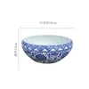 Maceta de cerámica de Jingdezhen, cuenco grande, cuenco hidropónico, loto, nenúfar, centella asiática, poto, planta suculenta, jardín, pecera