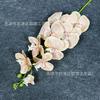 Nueva 9 Flores Artificiales Phalaenopsis Impresas en 3D Lujo Ligero Arreglos Florales de Gama Alta Adornos Decorativos para Bodas Sala de Estar Mesa de Comedor