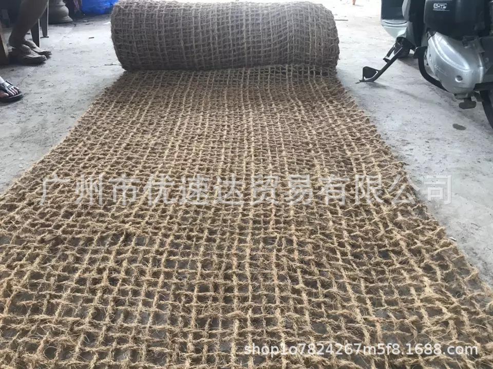 2椰网.jpg
