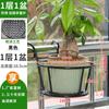 Prateleira de Flores Sala de Estar Multicamadas Preço Especial Liquidação Nórdico Interno Doméstico Varanda Rack de Armazenamento de Plantas em Vasos Ferro Verde Rack