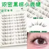 10 filas de 10 filas de pestañas postizas de espiga de gran capacidad puro deseo luz de luna blanca trilogía perezosa mezcla puro salvaje pequeño demonio