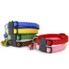 Collar para perro de 1 cm de ancho con patrón de puntos y cascabel, collar antipérdida con hebilla de cabeza de gato, collar para mascotas al por mayor