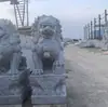Leões de Pedra Azul, Guardiões do Templo, Leões Esculpidos em Pedra de Granito, um Par de Animais Colocado na Entrada, Feito Sob Medida pelo Fabricante