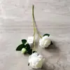 Flor de Rosa Artificial Tallo Único Día de San Valentín Decoración para el Hogar Boda Pared de Flores Flor Artificial Flor Falsa Flor Artificial Color Champán