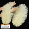 Accesorios de ropa de plumas de avestruz de colores materiales de decoración de bodas accesorios de plumas hechos a mano DIY decoración del hogar