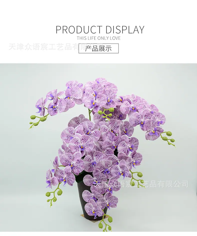 详情_06.jpg