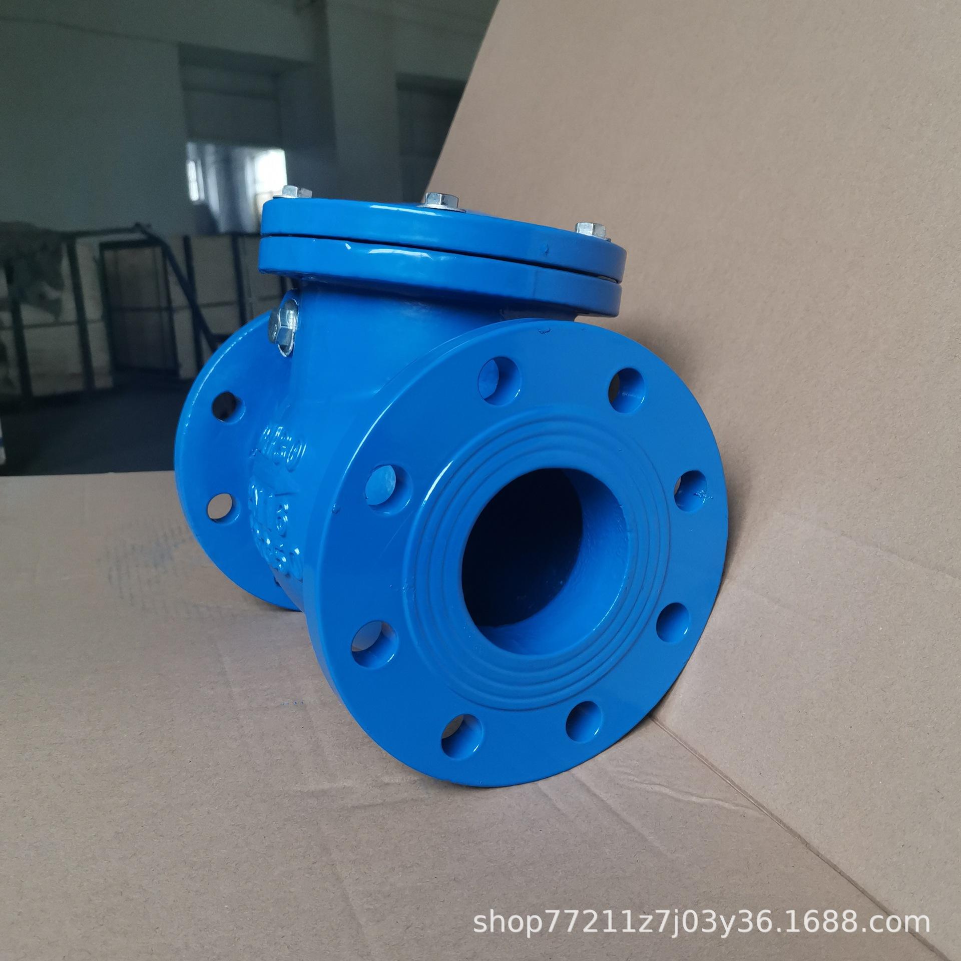 swing check valve.jpg