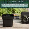 Maceta para Suculentas Extra Gruesa de Plástico Baja Blanca Cuadrada Mini Extra Grande Múltiples Especificaciones Control de Precisión para Plántulas Balcón Fiesta Plantación Maceta