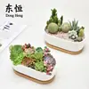 Dongheng Maceta de Animales Estilo Japonés y Coreano Maceta Mini Pulgar Adornos Set de Búho Cambio de Horno Maceta para Suculentas con Base