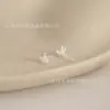 Novos Brincos de Tarraxa Bio-Cerâmicos, Não é Preciso Remover para Dormir, Hipoalergênicos, Cuidado com o Furo da Orelha, Milhares de Estilos de Brincos de Cerâmica Fofos e Doces, Atacado