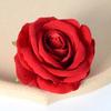 Rosa artificial cabeza de flor de rosa con tacto de franela grande diseño de pared de flores para camino de boda San Valentín flor artificial DIY