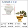Columna Balaustre Cabezal Florero Columna Adornos Decorativos Molde de Bola de Cemento Columna Romana Estilo Chino Modelo de Maceta