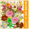 Paquete de Materiales DIY de Flores Secas Flores Prensadas Hechas a Mano Flores Conservadas Marcadores de Libros de Flores Prensadas Hojas de Árbol Real Plantas Pegatinas de Resina Maquillaje Facial