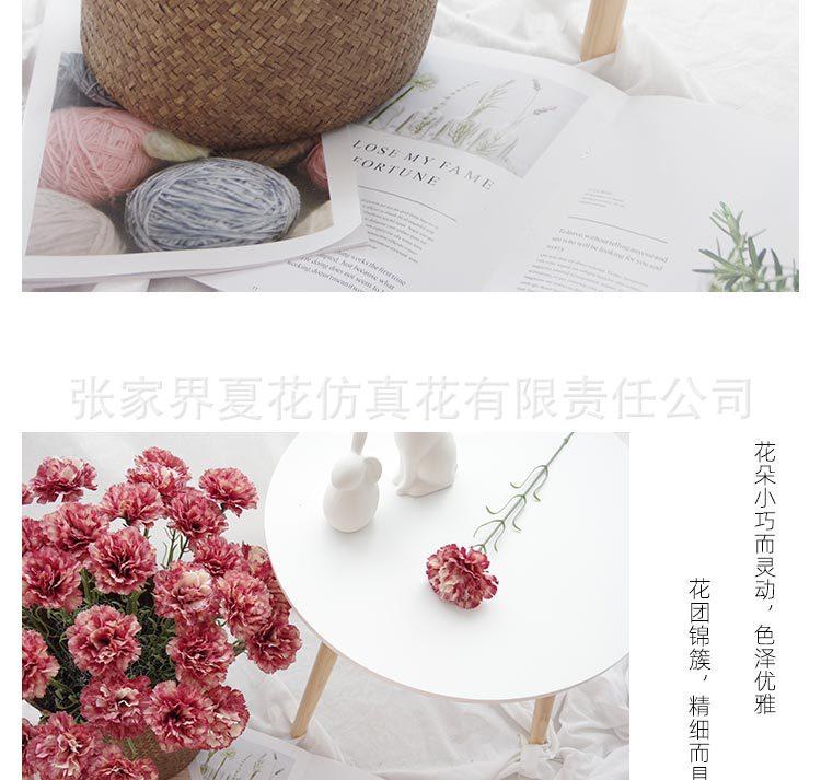 详情图_12.jpg