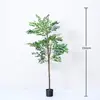Planta Artificial Verde Olmo Árvore da Fortuna Figueira Árvore da Fortuna em Vaso Interna Estilo Nórdico Ornamentos de Paisagismo Elegantes Paisagem de Sala de Estar