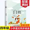 Ganso Blanco Feng Zikai Cuarto Grado Recomendar Leer Escuela Primaria Chino Lectura Sincrónica Literatura Clásica Obras Maestras