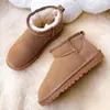 Botines de nieve mini transfronterizos para mujer, antideslizantes, engrosados, forrados de felpa, zapatos de algodón para exteriores para mujer, cálidos para otoño e invierno, botines cortos, zapatos de mujer de suela plana