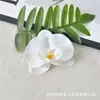 Flor de Orquídea Phalaenopsis con Simulación de Película Impresa en 3D Cabeza de Flor Flor Falsa Recuerdos para Bodas Fiesta Decoración de Caja de Dulces Diadema DIY Pinza para el Cabello