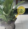 2024 nuevo dispositivo de riego automático perezoso transfronterizo Wateringball herramienta de riego para plantas en maceta