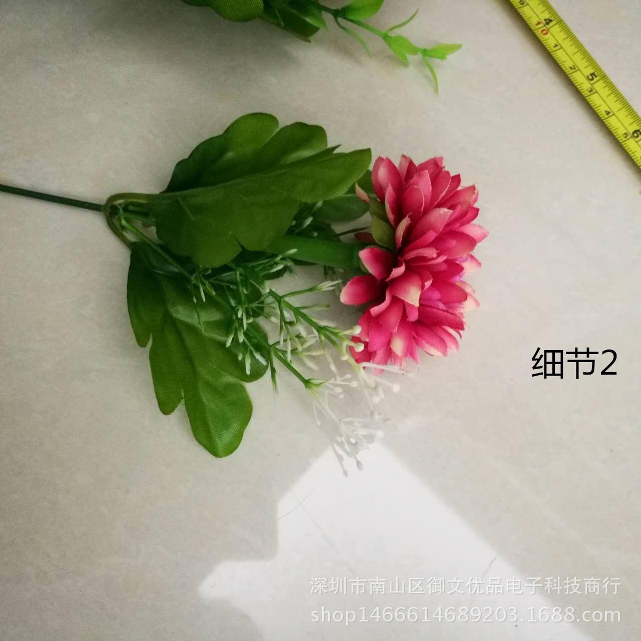 9头绿百合海葵 细节2_副本