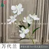 Bandai Orquídea Cattleya de 5 Flores Salón de Banquetes de Boda Decoración Floral Flores de Seda Restaurante de Lujo Fondo Flores Artificiales