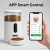 Comedero Inteligente WiFi para Mascotas 4L Dispensador Automático de Comida para Perros y Gatos con Control por App, Temporizador y Grabación de Voz