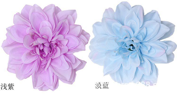 大丽菊花头_11.jpg