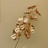 Material de Balde de Ano Novo 2025 Véspera de Ano Novo Fruta Vermelha Folha de Ouro Folha de Ginkgo Folha de Leque Tamanho do Leque Leque Redondo Costas de Tartaruga Dourado