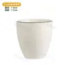 Juego de Mesa de Hotel de Cuatro Piezas: Taza de té, Platillo de porcelana de hueso, Bol para arroz, Vajilla de cerámica, Bol, Plato, Cuchara, Restaurante de estilo chino