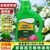 Solução nutritiva concentrada universal para jardinagem caseira, adequada para plantas verdes, flores, vegetais e cultivo hidropônico; promove o crescimento das raízes e fortalece as mudas; 500 ml