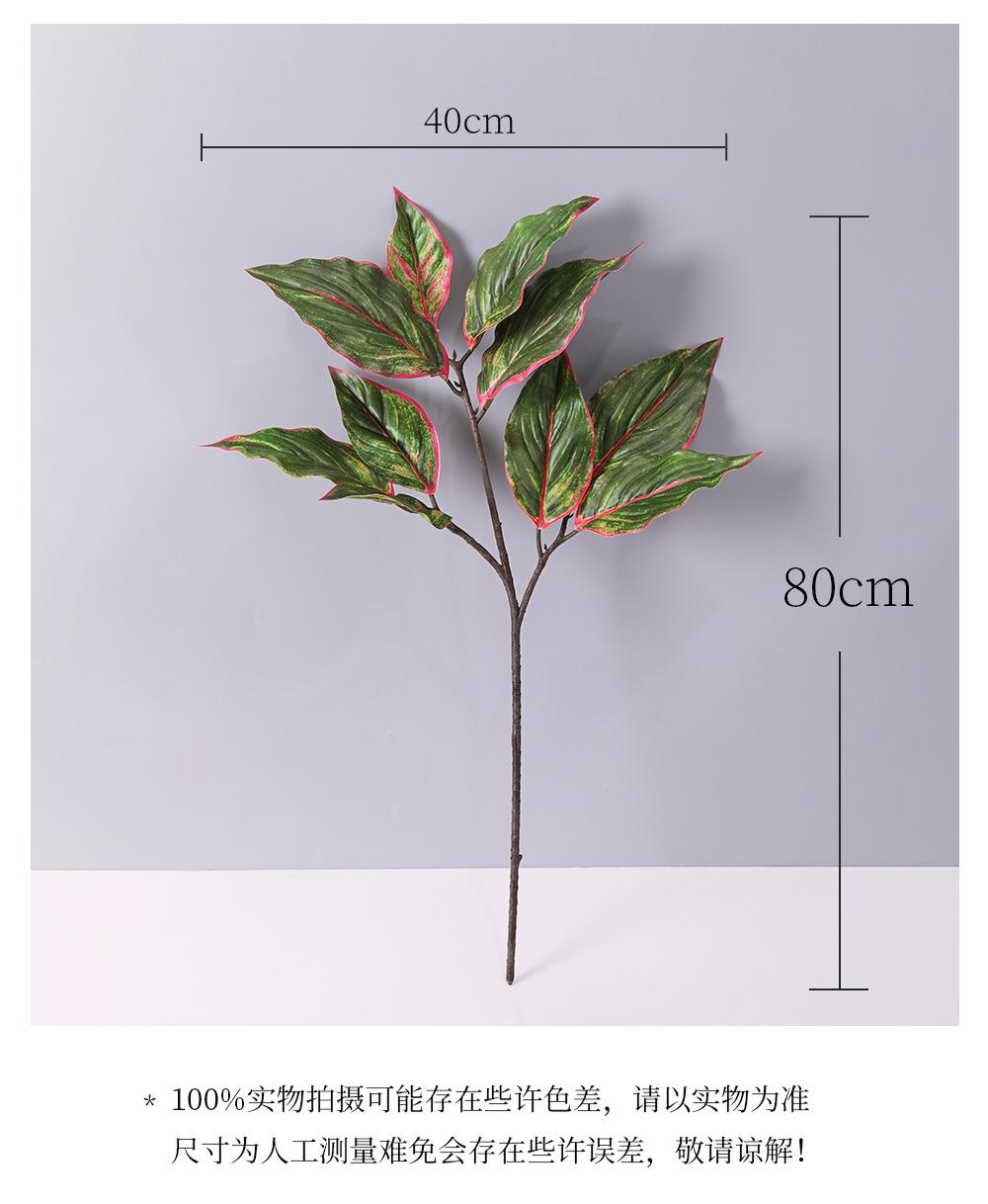 详情_03.png