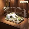 Nuevo terrario acuático anfíbio 2026 con plataforma para trepar, pecera ecológica para tortugas pequeñas, dedicado para uso doméstico, acuario de escritorio