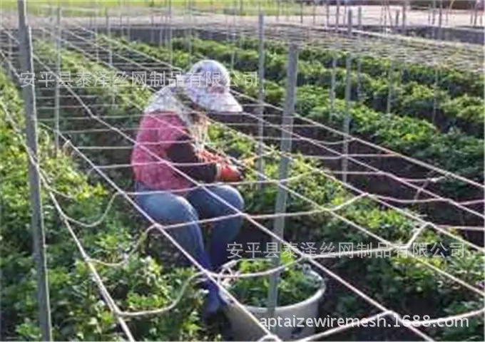 支架网使用