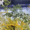 Primavera e Verão Branco Verde Casamento Flores Artificiais Atacado Branco Verde Amarelo Pequeno Fresco Casamento Fundo Guia de Caminho Flores Artificiais Decorativas
