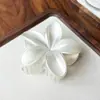 El más vendido en Europa y América, accesorio para el cabello de ABS con moderno color degradado, pinza de flor de plumeria, pinza versátil floral para coleta y pasador para recogido