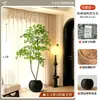 2026 Planta Verde Artificial Nandina Planta em Vaso Alto Padrão Luxo Leve Decorativa para Chão de Sala de Estar Flor Árvore Artificial Grande