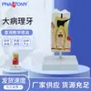 Modelo Patológico de Dente Humano, Modelo de Cárie Dentária, Ampliação de Cárie Dentária, Anatomia do Dente, Dente Patológico Dente Patológico