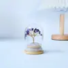 Árvore de Cristal Natural Transfronteiriça, Flor Eterna, Cobertura de Vidro, Árvore da Fortuna de Cristal, Pilar de Cristal, Aglomerado de Cristal, Enfeites de Decoração para Casa