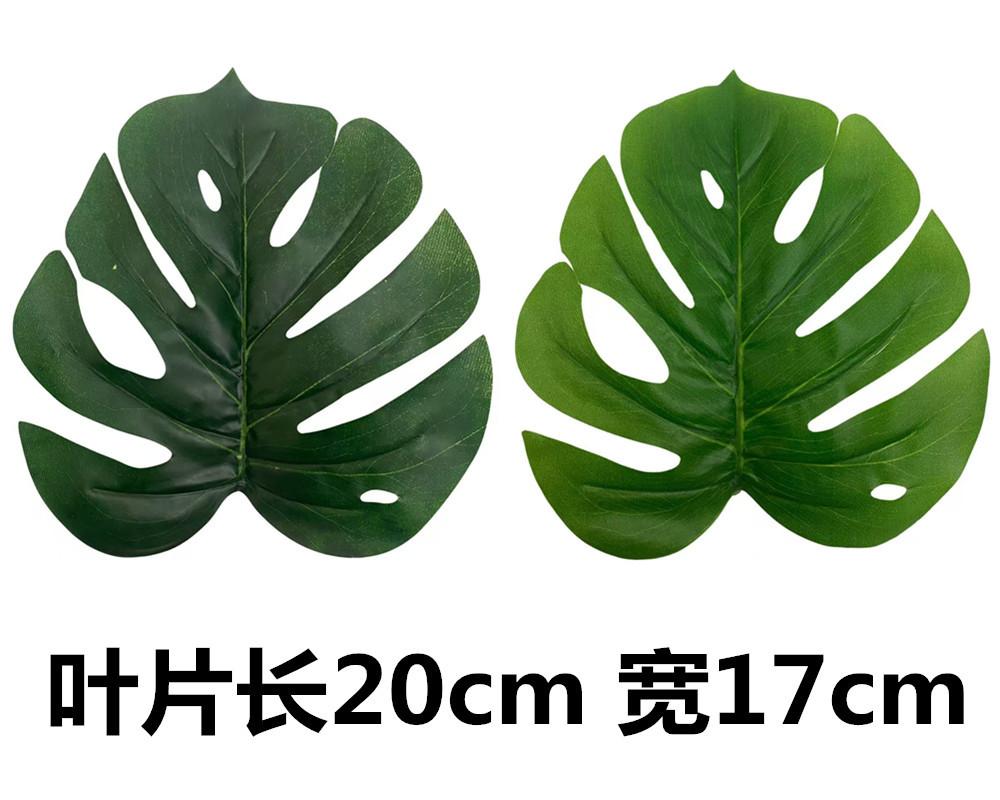 未命名_副本5241