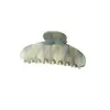 Novo Prendedor de Cabelo Oval Fosco Transfronteiriço de 10,5 cm para a Parte de Trás da Cabeça, Prendedor de Cabelo para Cabelos Grossos, Acessório de Cabelo Versátil e Estiloso