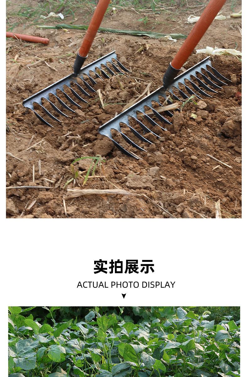 6 拷贝.jpg