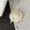 Chapéu de Palha Colorido Trançado de Verão Presilha de Cabelo com Laço Presilha de Cabelo para Menina Doce Presilha Bico de Pato Presilha para Franja Estilo Férias de Celebridade da Internet